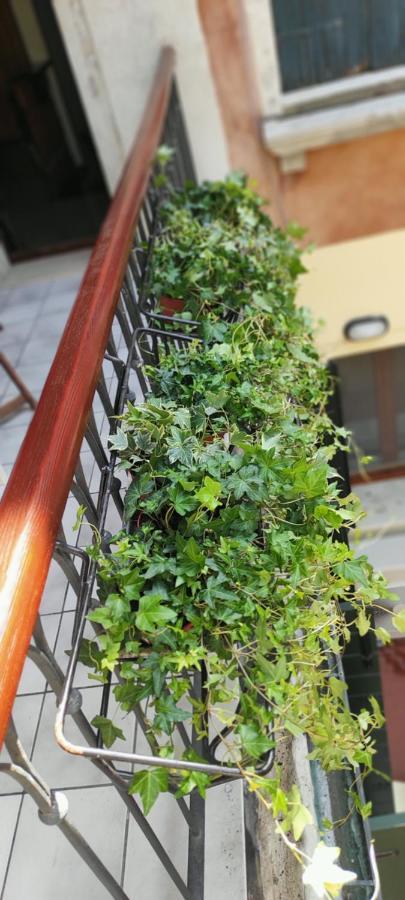 Ca' Baby Venezia Daire Dış mekan fotoğraf